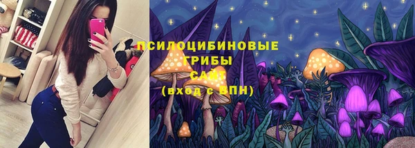 трава Горно-Алтайск
